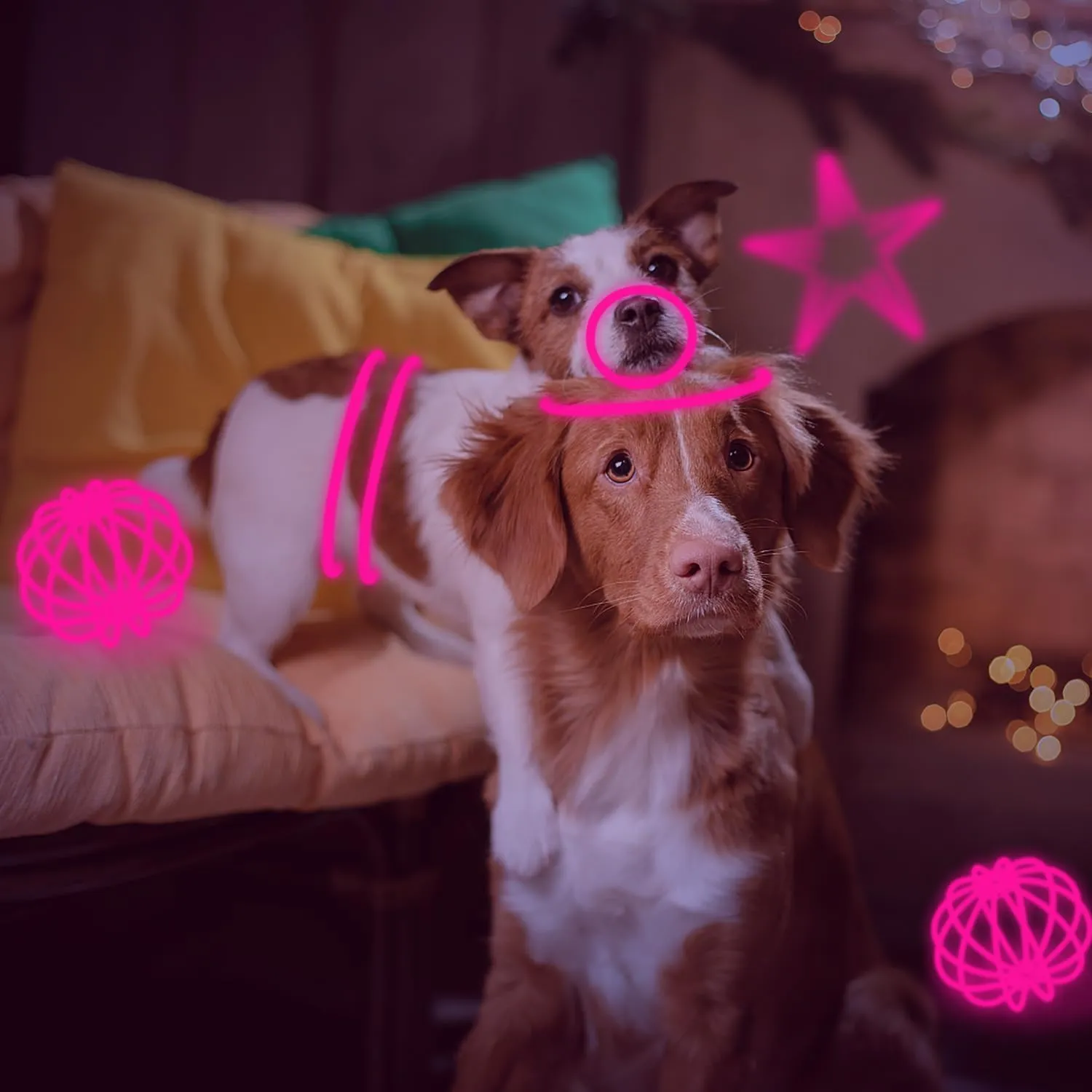 300 PCS Pink Glow Sticks Bulk Glow in the Dark Bracelets and Necklaces with Connectors 8" Glowsticks Light Up Neon Party Favors for New Year Valentine’s Day Wedding Gender Reveal Birthday