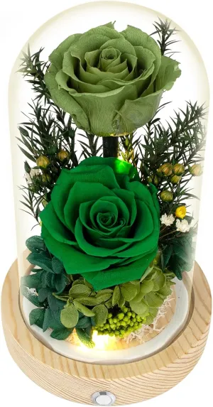 Flowers, Roses, Gifts–Flowers Bouquet & Forever Flowers for Delivery Prime - Preserved Flowers Birthday Gift for Women, Valentine's, Mother's Day, Christmas–Lasting Fresh Roses, Battery Included