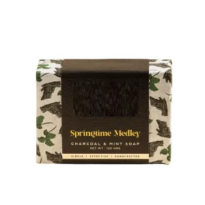GT Springtime Medley - Handmade Charcoal and Mint Soap with Shea Butter and Charcoal Clay - Deeply Cleanses Pores - Natural Bath Soap Bar | Vegan | Paraben-free & Sulphate-free | (240 gm) (Pack of 2)