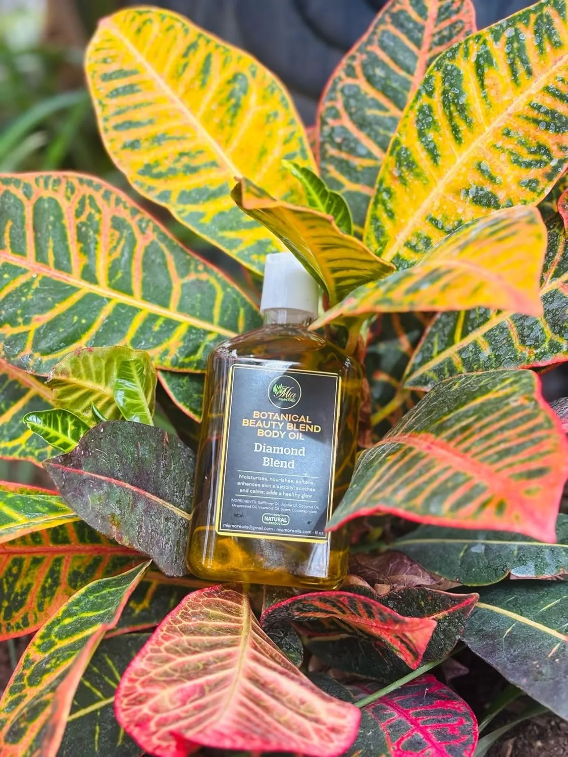 Mia More Oils Botanical Beauty Blend – Luxurious Body Oil for Women, 8 oz | Natural Moisturizer with Jojoba, Coconut & Vitamin E Oils | Hydrates & Nourishes Dry, Sensitive Skin | Divine Delight