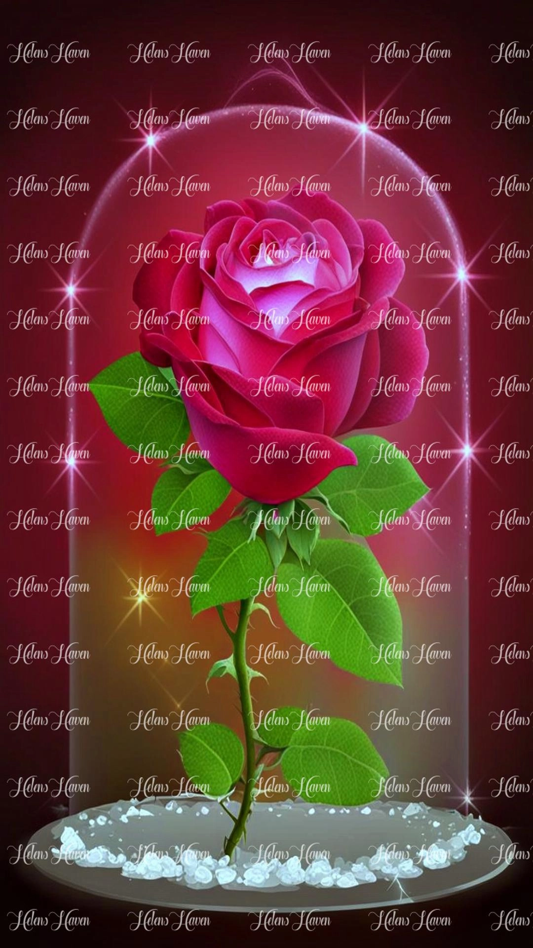 Red Rose Dome Glowing