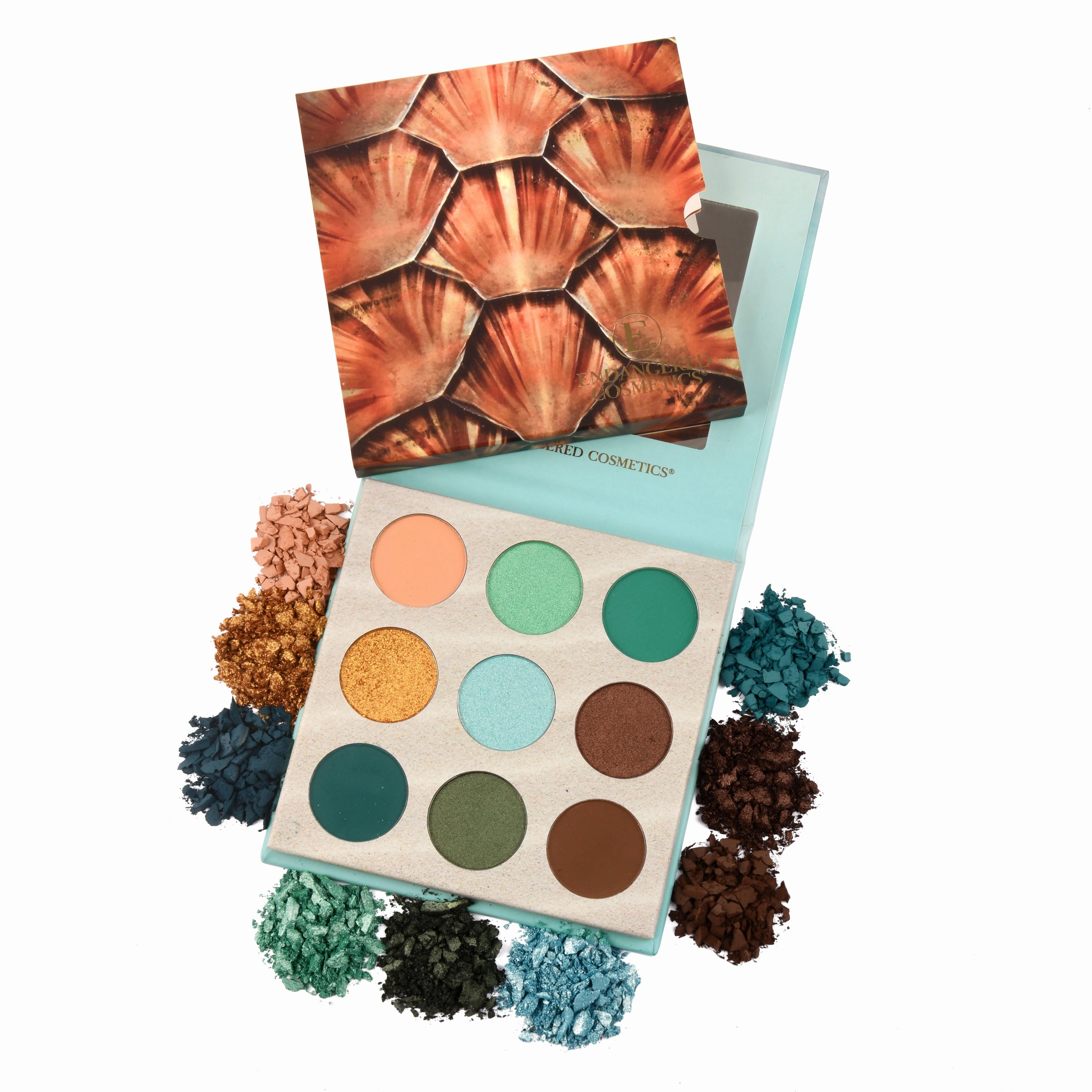 The Sea Turtle Palette
