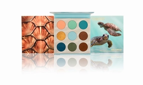 The Sea Turtle Palette