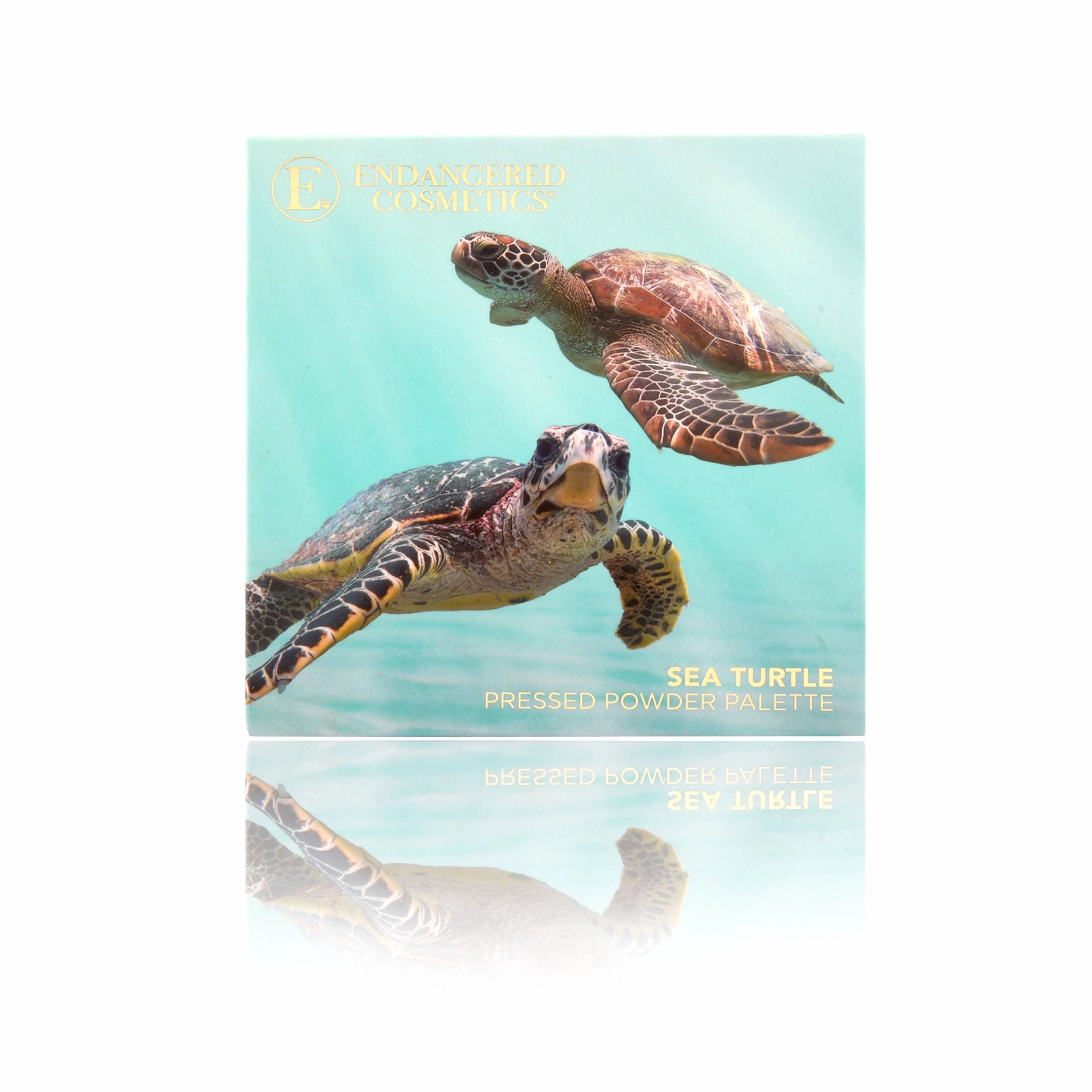 The Sea Turtle Palette