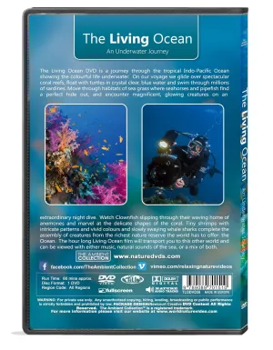 Underwater DVD- The Living Ocean - Relaxing Scenes of the Underwater World